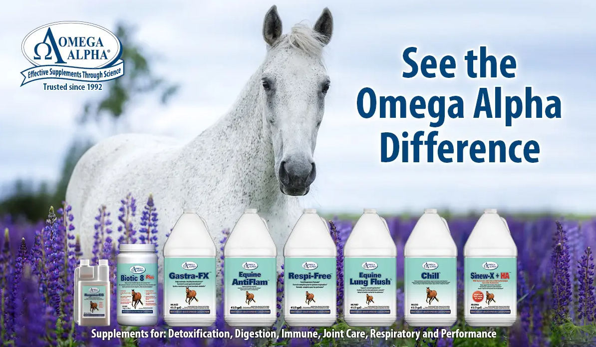 Picture for category Omega Alpha Equine